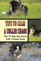 Tips To Calm A Collie Chaos: How To Make Your Chaotic Collie A Calmer Canine