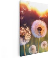 Artaza - Peinture sur toile - Pissenlits au coucher du soleil - 40 x 60 - Photo sur toile - Impression sur toile
