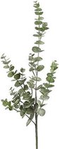 Kunstplant Tak Eucalyptus | Groen | 80 cm