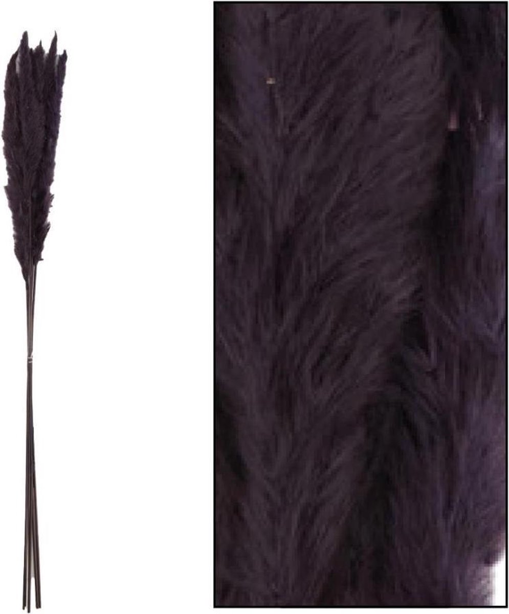 Gedroogde bloemen - pampas kattenstaartjes - zwart 6 stuks - 65 tot 75 cm