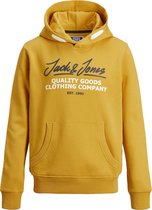 JACK&JONES JUNIOR JJHERRO SWEAT HOOD JR Jongens Trui - Maat 152