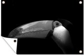 Affiche jardin - Toile jardin - Posters de jardin jardin extérieur - Toucan sur fond noir - noir et blanc - 120x80 cm - Jardin