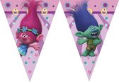 vlaggenlijn Trolls 200 cm roze/paars