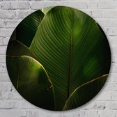 'Leaf' me alone - 50 cm Aluminium Muurcirkel - Bloemen en Planten - Wanddecoratie - Rond Schilderij - Wandcirkel