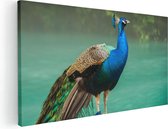 Artaza Peinture Sur Toile Paon Coloré Au Bord De L' Water - 80x40 - Photo Sur Toile - Impression Sur Toile