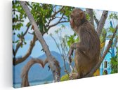Artaza Peinture Sur Toile Singe Dans L'Arbre - 80x40 - Photo Sur Toile - Impression Sur Toile