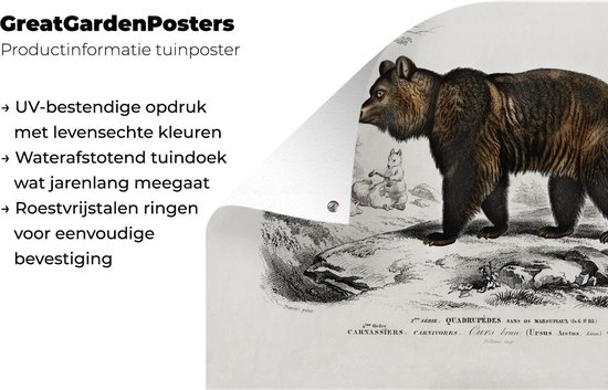 Affiche jardin - Toile jardin - Posters de jardin extérieur - Ours - Vintage - Animal - 120x80 cm - Jardin