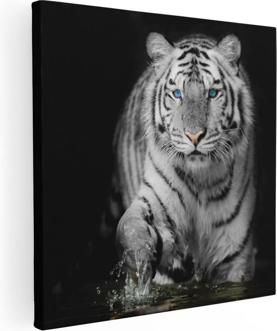 Artaza - Peinture sur toile - Tigre aux yeux bleus - Zwart Wit - 40x40 - Klein - Photo sur toile - Impression sur toile