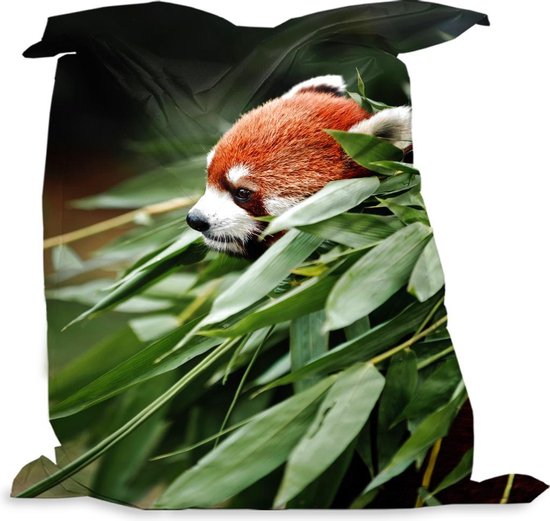 Vergelding Hoogland kassa PillowMonkey - Zitzak Volwassenen - Panda - Rood - Plant - 135x175 cm -  Binnen en Buiten | bol.com