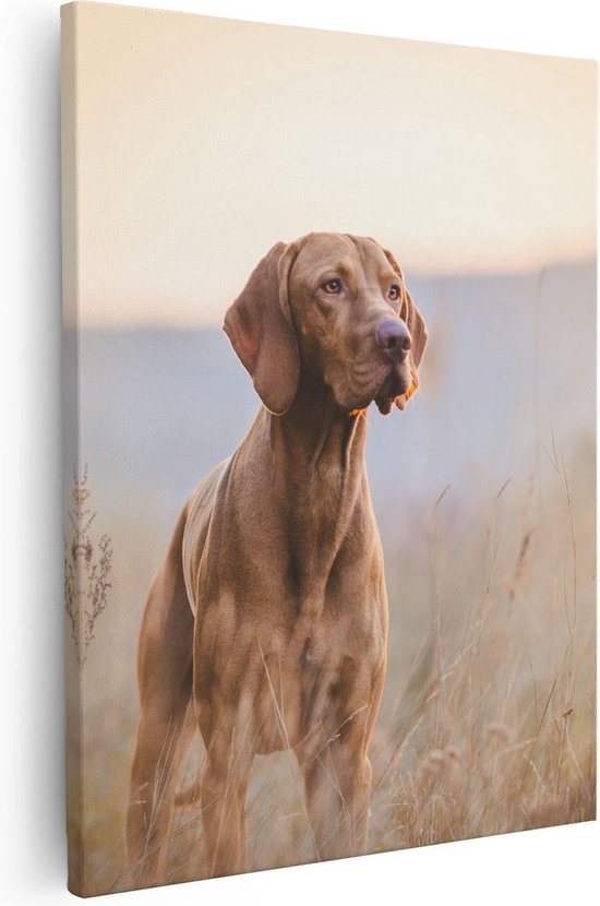 Artaza - Canvas Schilderij - Hongaarse Vizsla Hond In Het Gras - Foto Op Canvas - Canvas Print