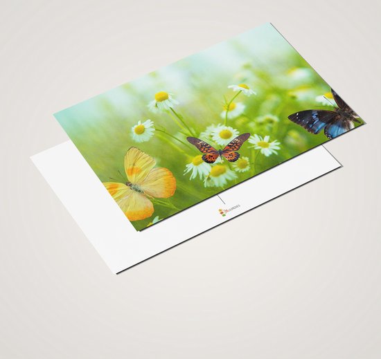 Cadeautip! Luxe ansichtkaarten set Vlinders 10x15 cm | 24 stuks