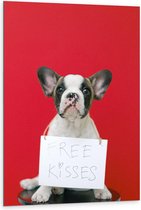 Dibond - Bulldog op Rode Achtergrond met ''Free Kisses'' Bord - 80x120cm Foto op Aluminium (Met Ophangsysteem)