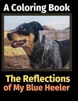 The Reflections of My Blue Heeler