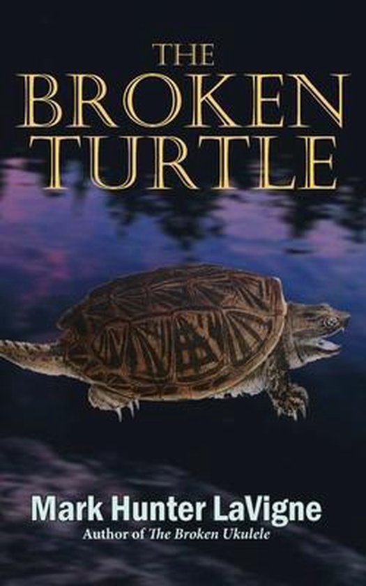 The Broken Turtle - cover