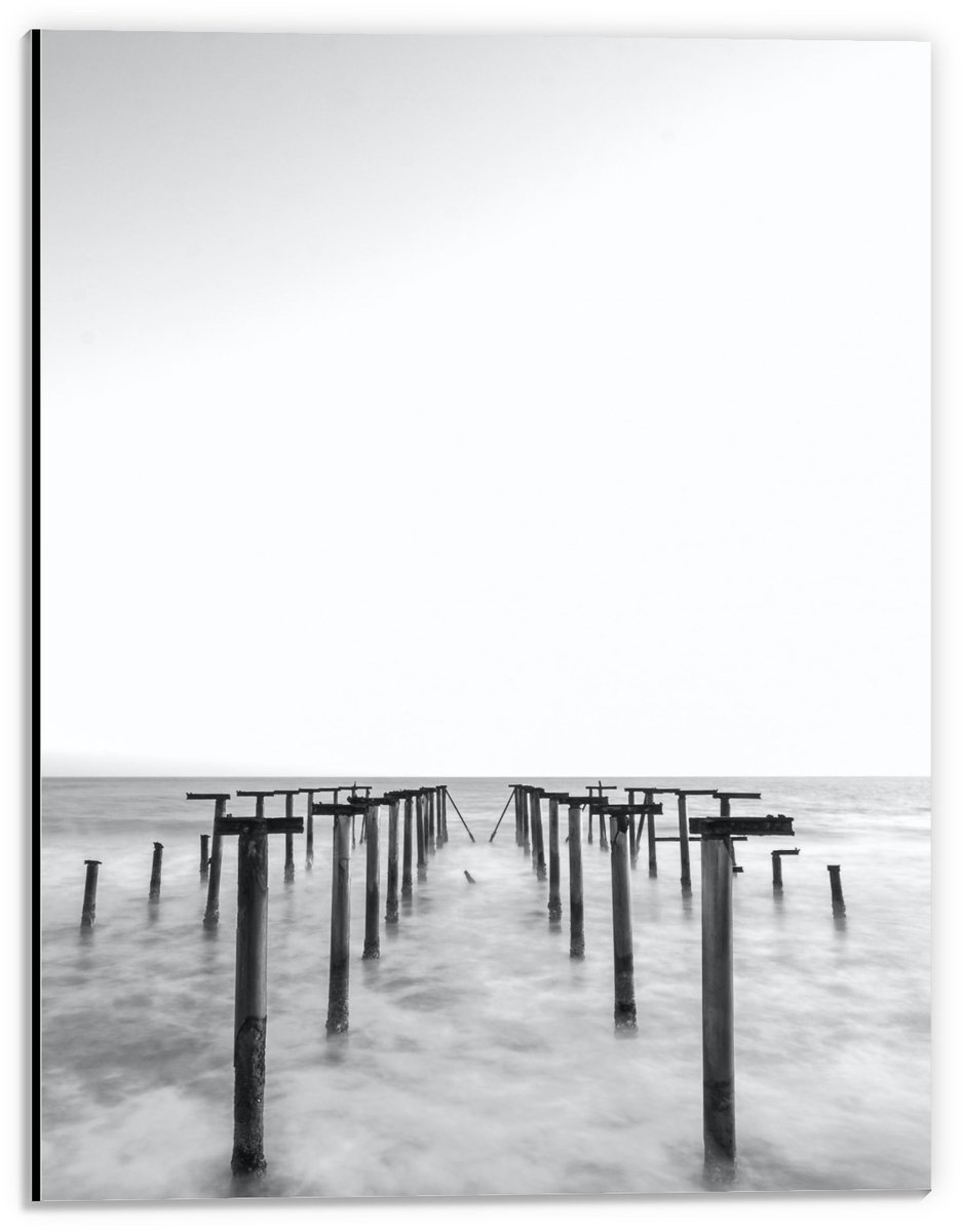 Dibond - Palen in het Water Zwart - Wit - 30x40cm Foto op Aluminium (Met Ophangsysteem)