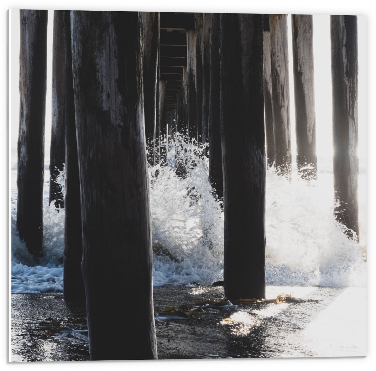 Forex - Palen van een Pier in het Water - 50x50cm Foto op Forex
