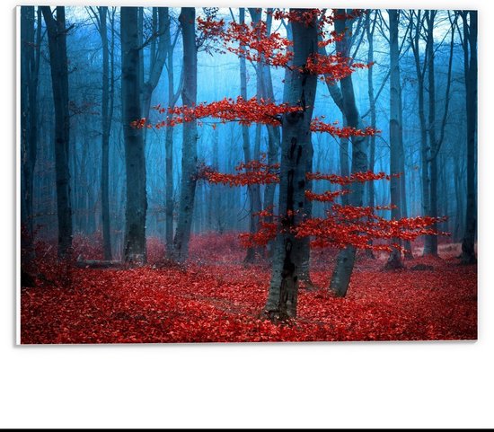 Forex - Rode Bladeren aan Bomen in Bos - 40x30cm Foto op Forex