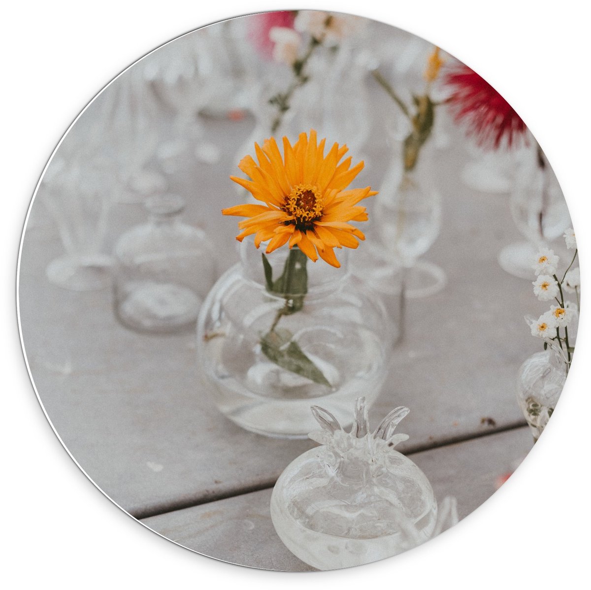 KuijsFotoprint Forex Wandcirkel - Bloemetjes in Vaasje - 70x70cm Foto op Wandcirkel (met ophangsysteem) Rood