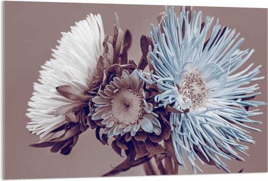 Acrylglas - Wit/Blauwe Bloemen op Beige Achtergrond - 120x80cm Foto op Acrylglas (Wanddecoratie op Acrylglas)