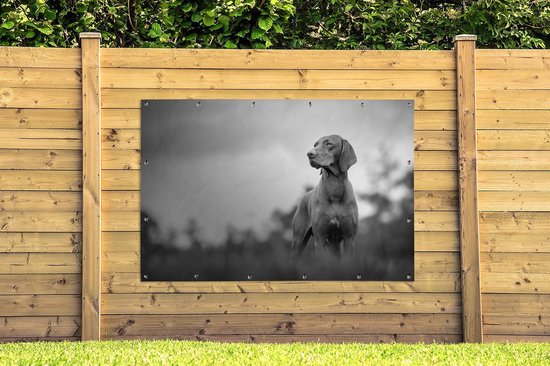 Décoration murale Chien regardant ailleurs - noir et blanc - 180x120 cm - Poster jardin - Toile jardin - Poster extérieur
