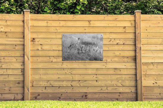Posters de jardin extérieur Lionne avec son garçon - noir et blanc - 90x60 cm - Toile de jardin - Affiche extérieure