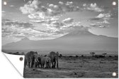 Tuindecoratie Trekkende olifanten - zwart wit - 60x40 cm - Tuinposter - Tuindoek - Buitenposter