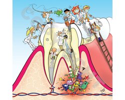 Cartoon plafondplaat - Poster - Roland Hols - Doorsnede kies - 60 x 60 cm - Forex 5 mm dik - Tandarts - Orthodontist -Mondhygiënist - voor boven de behandelstoel