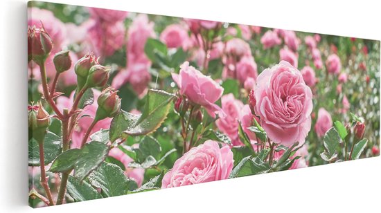 Artaza Canvas Schilderij Roze Rozen Bloemenveld - 90x30 - Foto Op Canvas - Canvas Print