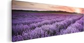 Artaza Canvas Schilderij Bloemenveld Met Paarse Lavendel - Bloemen - 120x40 - Groot - Foto Op Canvas - Canvas Print