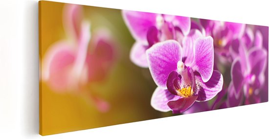 Artaza Canvas Schilderij Paarse Orchidee Bloemen - 90x30 - Foto Op Canvas - Canvas Print