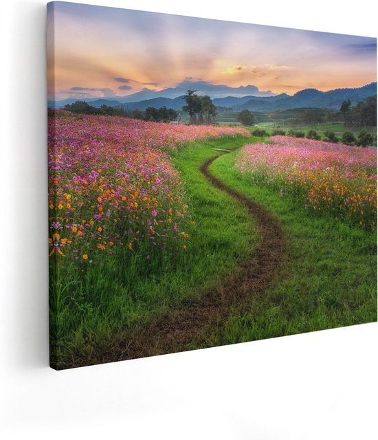 Artaza Canvas Schilderij Kosmos Bloemenveld Met Een Pad - Bloemen - 100x80 - Groot - Foto Op Canvas - Canvas Print