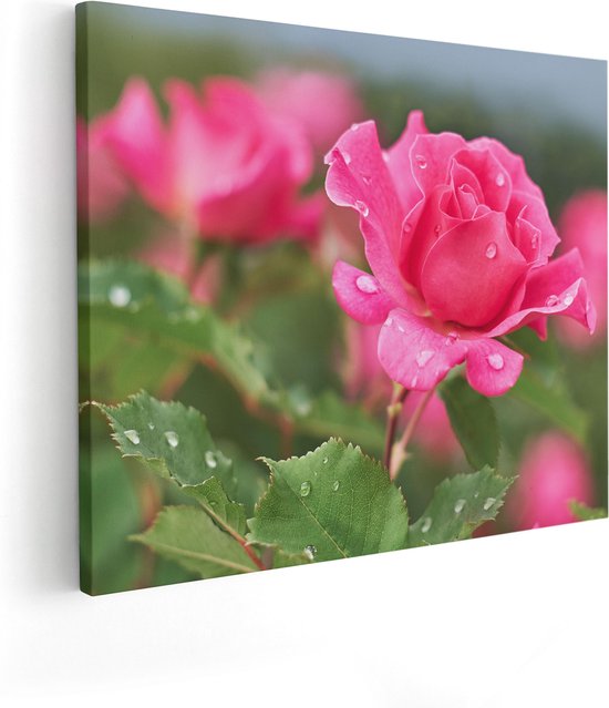Artaza Canvas Schilderij Roze Roos Met Waterdruppels - 100x80 - Groot - Foto Op Canvas - Canvas Print