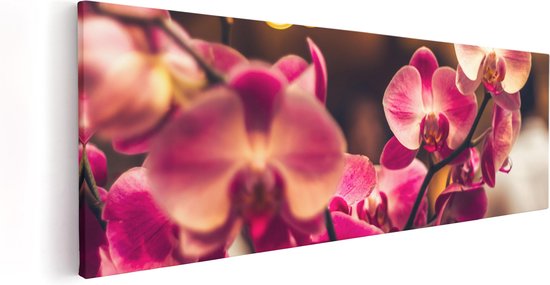 Artaza Canvas Schilderij Roze Orchidee Bloemen - 60x20 - Foto Op Canvas - Canvas Print