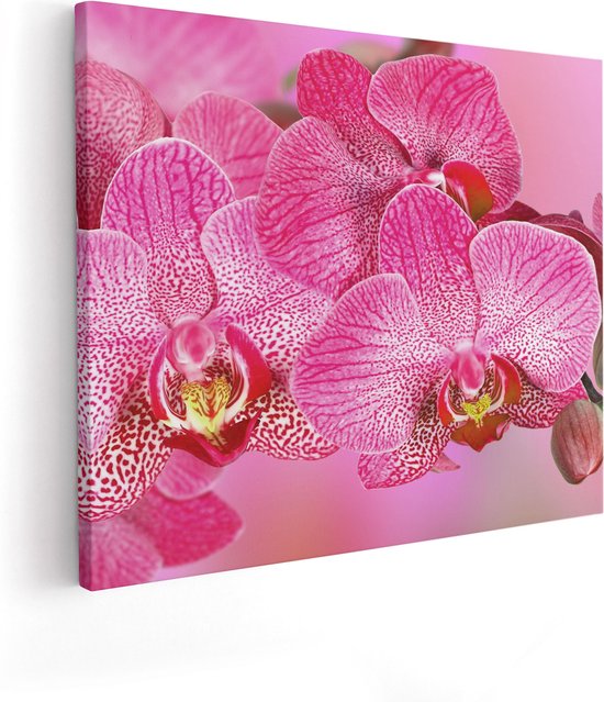 Artaza Canvas Schilderij Roze Orchidee Bloemen - 100x80 - Groot - Foto Op Canvas - Canvas Print