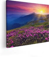 Artaza Canvas Schilderij Roze Rhododendron Bloemenveld - Bergen - 50x40 - Foto Op Canvas - Canvas Print