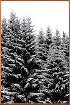 JUNIQE - Poster met kunststof lijst Besneeuwde kerstbomen -30x45