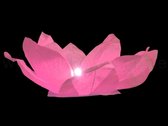 10x Waterlantaarn roze motief: lotusbloem