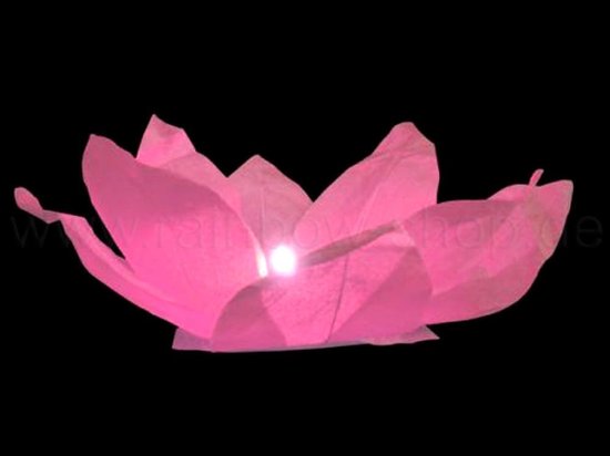 10x Waterlantaarn roze motief: lotusbloem