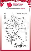 Woodware Clear stamp - Bloemen - Lelie - A6 - Stempelset - Polymeer