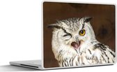 Laptop sticker - 15.6 inch - Deze bruine uil knipoogt naar de camera - 36x27,5cm - Laptopstickers - Laptop skin - Cover