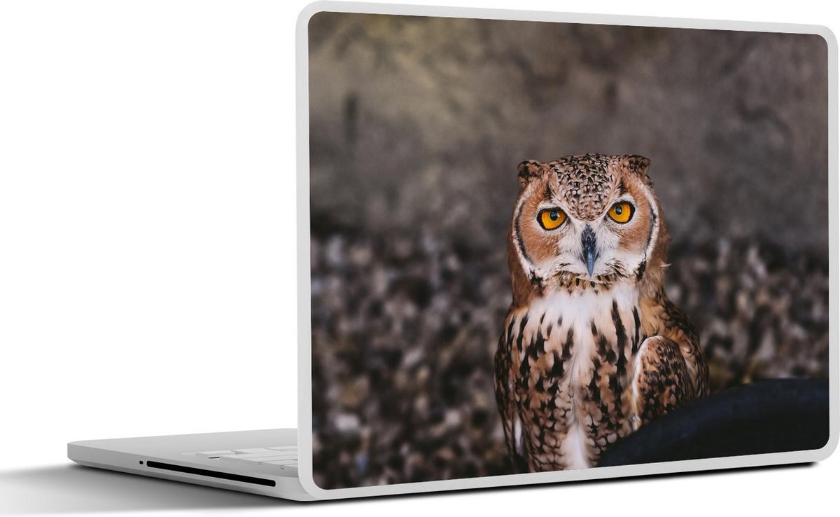 Laptop sticker - 15.6 inch - Bruine uil kijkt recht in de camera - 36x27,5cm - Laptopstickers - Laptop skin - Cover