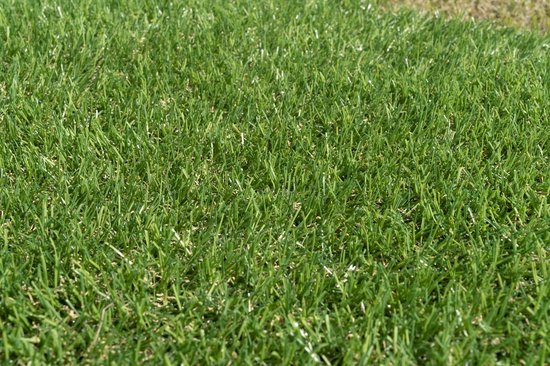 Kunstgras 4 x 8 meter - 20mm ✅ Nederlandse Productie - Uitgeroepen zachtste Grastapijt ✅ Waterdoorlatend | Tuin | Kind | Dier