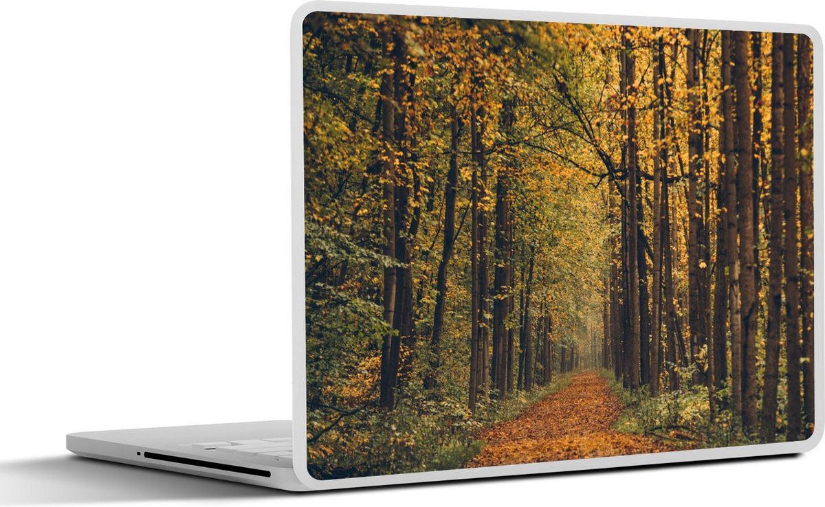 Afbeelding van product SleevesAndCases  Laptop sticker - 11.6 inch - Bospad bedekt met bladeren