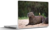 Laptop sticker - 10.1 inch - Een Capibara met een klein vogeltje op zich - 25x18cm - Laptopstickers - Laptop skin - Cover