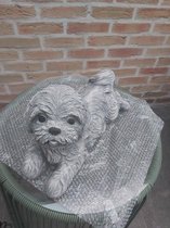 Shih tzu hond beton 33cm lang grijs beeld  shihtzu  tuinbeeld