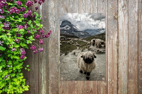 Décoration de jardin Mouton - Berg - Neige - 40x60 cm - Affiche jardin