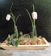 Houten tray van mango hout - 2 glazen flesjes met kievitsbloem - geurkaarsje in glas - groen zijde takje en gedroogde decoratie.