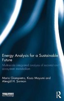 Energy Analysis for a Sustainable Future