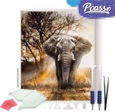 Pcasso ® Olifant Wild - Diamond Painting - Incl. Veel Diamond Painting Accessoires - Diamond Painting Kinderen - Diamond Painting Dieren - Diamond painting volwassenen - 30x40 CM