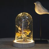 Stolp met LED Verlichting - Glazen Stolp met Hout - Incl. Batterijen - Ø10 x H15,5 cm